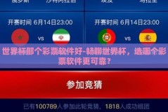 世界杯那个彩票软件好-畅聊世界杯，选哪个彩票软件更可靠？