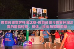 体育彩票世界杯淘汰赛-体育彩票与世界杯淘汰赛的激情碰撞，机遇、挑战与策略洞察