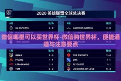 微信哪里可以买世界杯-微信购世界杯，便捷通道与注意要点