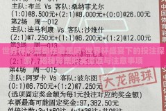 世界杯彩票都在哪里吗-世界杯盛宴下的投注探索，揭秘彩票购买渠道与注意事项