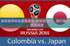 微信世界杯在哪里赌球-微信世界杯，慎行赌球，理性观赛