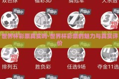 世界杯彩票真实吗-世界杯彩票的魅力与真实评价