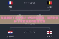 在哪里能下注世界杯-纵览世足盛宴，探寻世界杯下注的合法与智慧之境