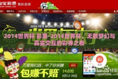 2014世界杯 彩票-2014世界杯，无数梦幻与真实交互的彩券之夜