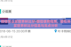 微信怎么买世界杯比分-微信使用指南，轻松购买世界杯比分信息与亮点分析