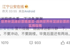 世界杯足球彩票哪里买-选购世界杯足球彩票的实用指南