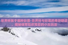 世界杯属于哪种彩票-世界杯与彩票的奇妙联动，揭秘体育狂欢背后的小众玩法
