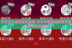 天天中彩票赢球世界杯-天天中彩票赢球世界杯，物质与梦想的交织