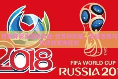 世界杯彩票最高奖金-世界杯彩票，把握激情与机遇的双向狂欢