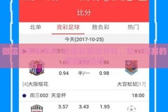 微信彩票世界杯-微信彩票世界杯，助力观赛的便捷新选择
