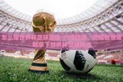 怎么赌世界杯足球赢钱-力挽狂澜，凭借智慧策略拿下世界杯足球赌注