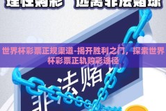 世界杯彩票正规渠道-揭开胜利之门，探索世界杯彩票正轨购彩途径
