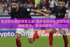 世界杯彩票赔率怎么算-揭开世界杯彩票赔率的神秘面纱，算法与解析