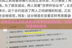 世界杯怎么买彩票赚钱-世界杯足球彩票，智慧与策略的结合