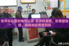 世界杯彩票时候可以买-世界杯激情，彩票新选择，揭秘购彩黄金时机
