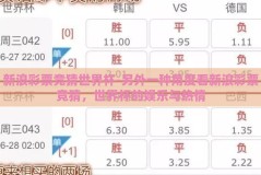 新浪彩票竞猜世界杯-另外一种角度看新浪彩票竞猜，世界杯的娱乐与热情