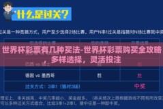 世界杯彩票有几种买法-世界杯彩票购买全攻略，多样选择，灵活投注