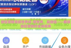 微信营销竞猜世界杯-猜世界，赢微信——解锁微信营销的全球视角
