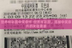 世界杯彩票中奖条件-世界杯彩票，揭秘中奖条件的关键要素