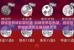 微信世界杯彩票在哪-玩转世界杯热潮，微信世界杯彩票的正确打开方式