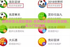 世界杯怎么买彩票的-世界杯彩票购买全攻略，从入门到实战