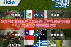 哪儿可以买世界杯足球彩票-世界杯激情碰撞理性，在线平台安全购彩指引