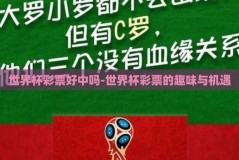 世界杯彩票好中吗-世界杯彩票的趣味与机遇