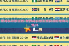 世界杯彩票主胜-世界杯彩票主胜背后的策略与魅力