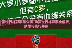 买世界杯彩票怎么买-购买世界杯彩票全解析，梦想与技巧并存