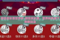 微信买彩票世界杯-微信买彩票，世界杯热潮下的新玩法