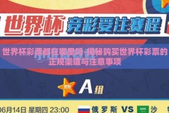 世界杯彩票都在哪里吗-揭秘购买世界杯彩票的正规渠道与注意事项