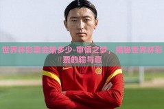 世界杯彩票会输多少-审慎之梦，揭秘世界杯彩票的输与赢