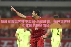 赢彩彩票世界杯中奖图-赢彩彩票，揭开世界杯中奖图的神秘面纱