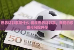 世界杯彩票是什么-揭秘世界杯彩票，赌局的乐趣与风险并存