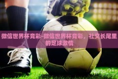 微信世界杯竞彩-微信世界杯竞彩，社交长尾里的足球激情