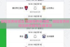 微信世界杯投注-玩转世界杯激情，微信世界杯投注的乐趣与注意事项
