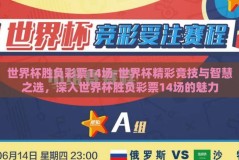 世界杯胜负彩票14场-世界杯精彩竞技与智慧之选，深入世界杯胜负彩票14场的魅力