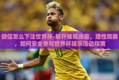 微信怎么下注世界杯-解开赌局迷雾，理性观赛，如何安全参与世界杯娱乐活动指南