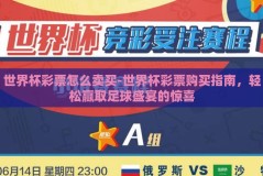 世界杯彩票怎么卖买-世界杯彩票购买指南，轻松赢取足球盛宴的惊喜