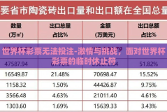 世界杯彩票无法投注-激情与挑战，面对世界杯彩票的临时休止符