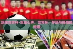 想赌世界杯-羁旅心声，世界杯，梦想与赌局的碰撞