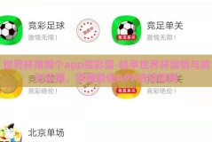 世界杯用哪个app买彩票-畅享世界杯激情与购彩乐趣，掌握最佳APP选择指南