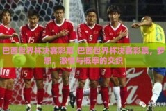 巴西世界杯决赛彩票-巴西世界杯决赛彩票，梦想、激情与概率的交织