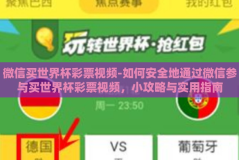 微信买世界杯彩票视频-如何安全地通过微信参与买世界杯彩票视频，小攻略与实用指南