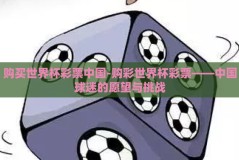 购买世界杯彩票中国-购彩世界杯彩票——中国球迷的愿望与挑战