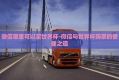 微信哪里可以买世界杯-微信与世界杯购票的便捷之道