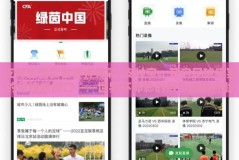 支付宝能买世界杯体彩-支付宝，开启足球盛宴的便捷新窗口——世界杯体彩的数字购物体验