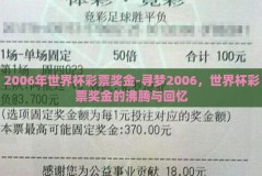 2006年世界杯彩票奖金-寻梦2006，世界杯彩票奖金的沸腾与回忆