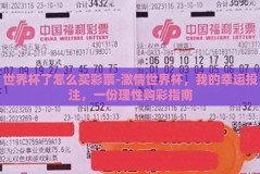 世界杯了怎么买彩票-激情世界杯，我的幸运投注，一份理性购彩指南