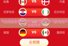 支付宝在哪里买世界杯-如何通过支付宝参与购买世界杯